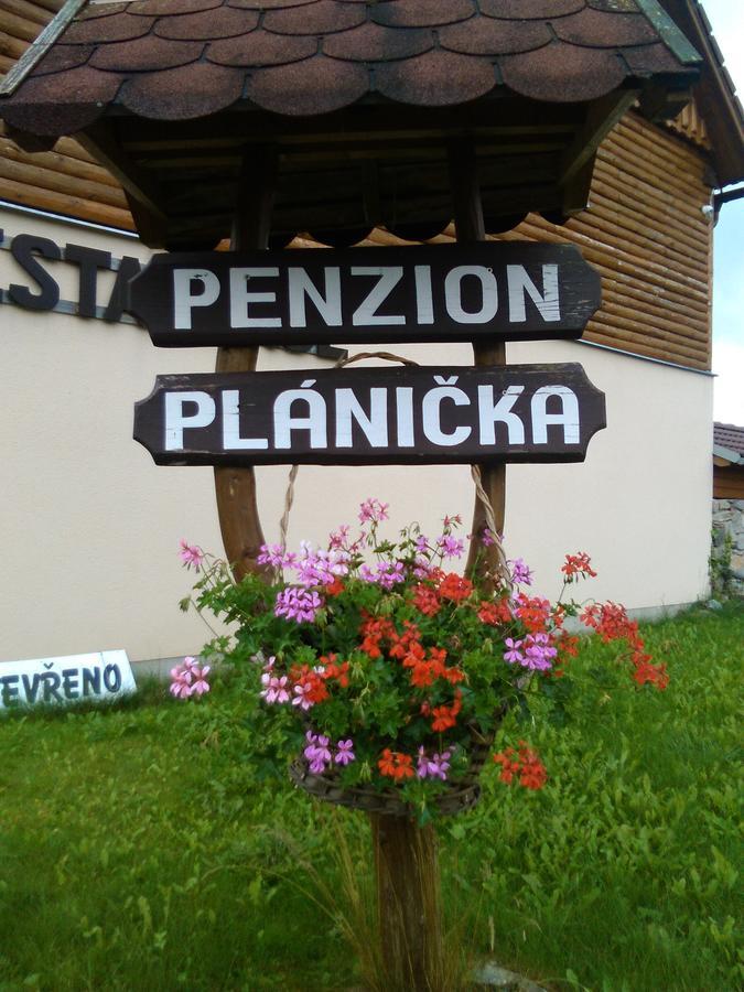 Penzion Planicka Hotel Cerna v Posumavi Bagian luar foto